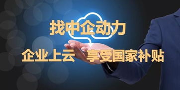 完善中小企業融資政策，中企動力推進發展