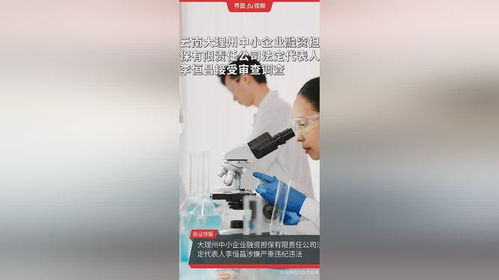 云南大理州中小企業融資擔保公司高管被查，中小企業融資生態引關注